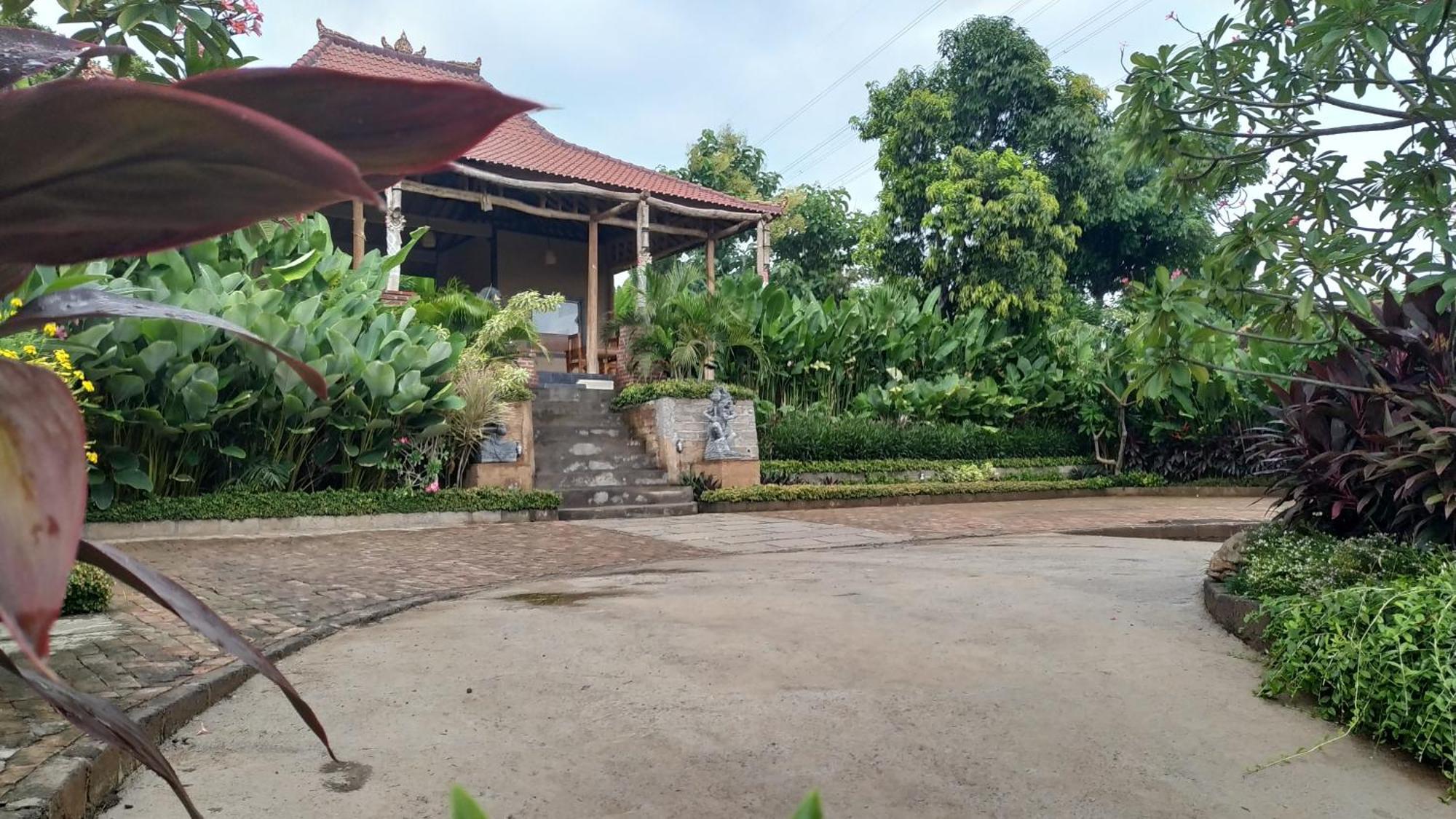 Eliska Sumberkima Pemuteran Buitenkant foto