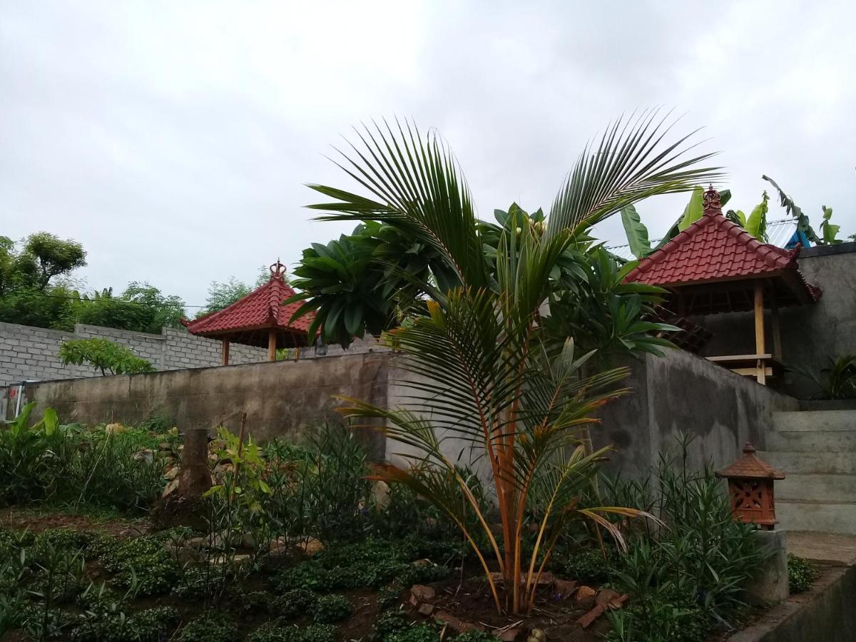 Eliska Sumberkima Pemuteran Buitenkant foto